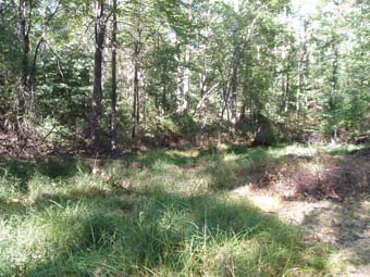 community photo